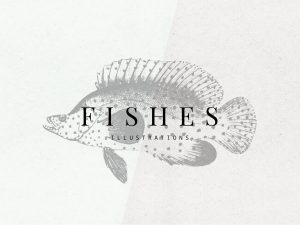 Fishes Vector Illustrations Set