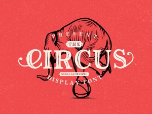 The Circus Display Font