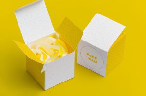 Paper Box Mockups Set