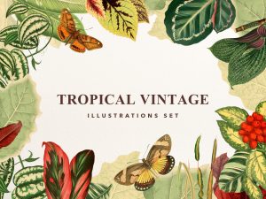 Tropical Vintage Graphic Set