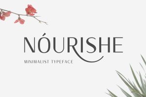 Nourishe Sans Serif Font