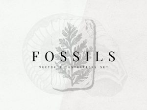 Fossils Vector Illustrations Set