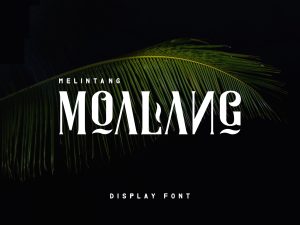 Moalang Display Font