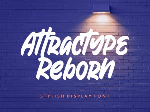 Reborn Display Font