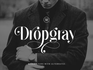 Dropgray Sans Serif Font