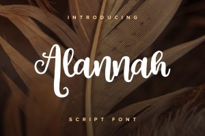 Alannah Script Font