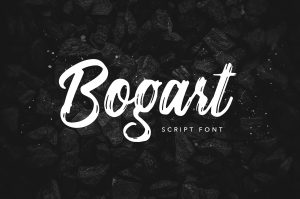 Bogart Script Font