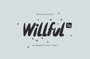 Willful Handwritten Brush Font