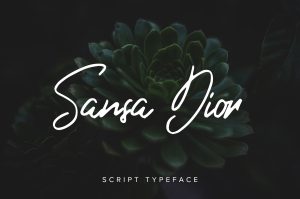 Sansa Dior Script Typeface