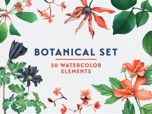 Botanical Garden Watercolor Set