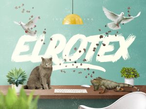 Elrotex Brush Font