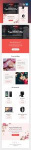 Valentine’s Day Email Template